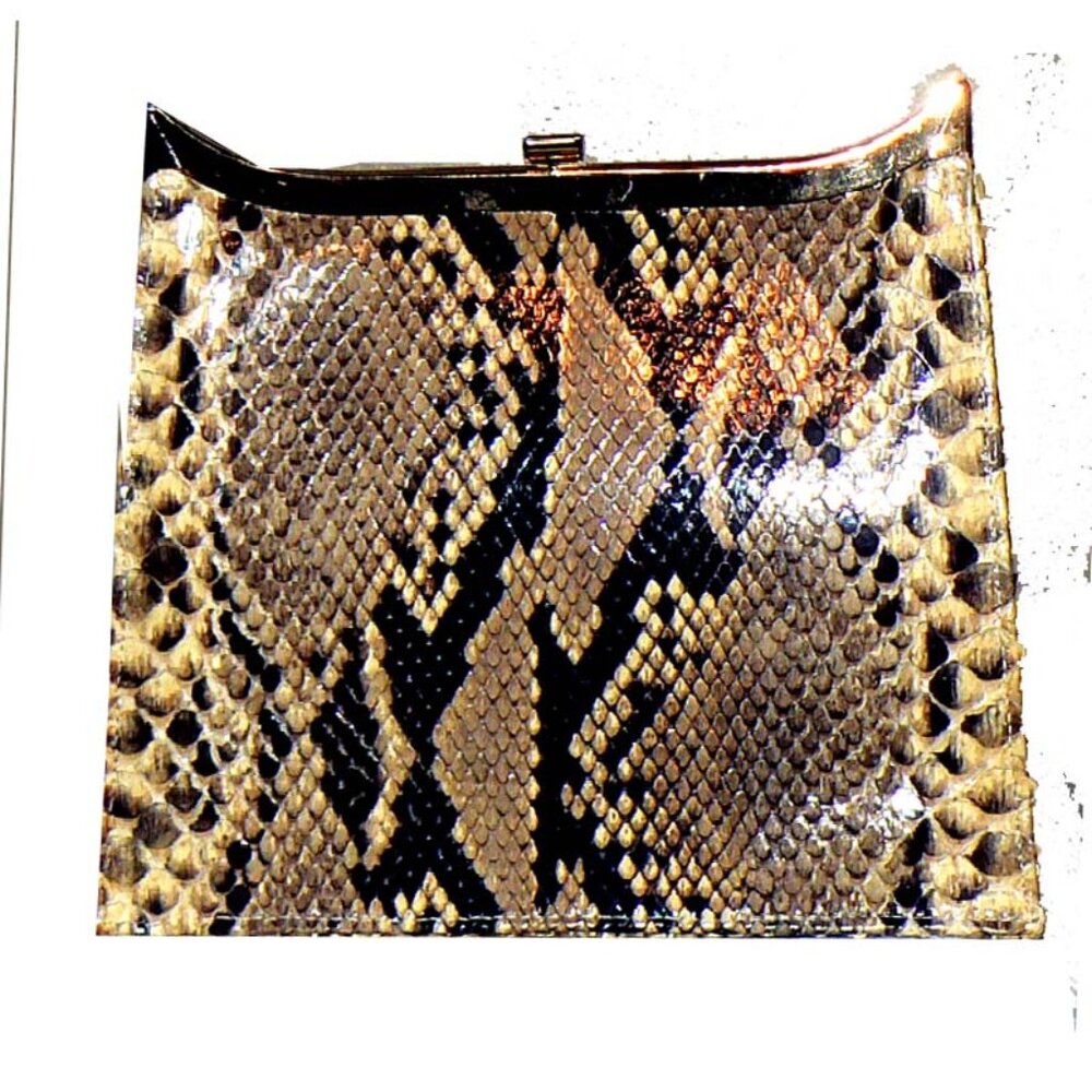 Snake Skin Handbag